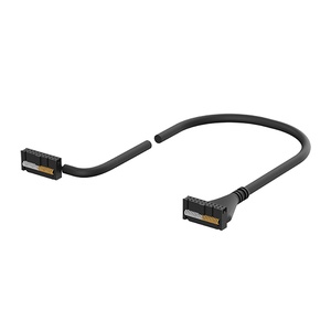 Autonics CH20-HP050-C1T5R