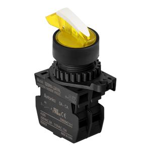 Autonics S2SRN-L2YALM