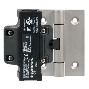 Hinged safety switch TESZX 10/S