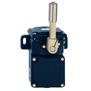 T/M 250 (T.250 M.250)