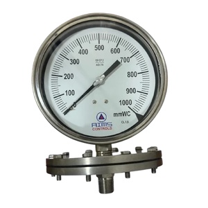 All SS Diaphragm Pressure Gauge