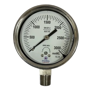 All SS Standard Capsule Pressure Gauge