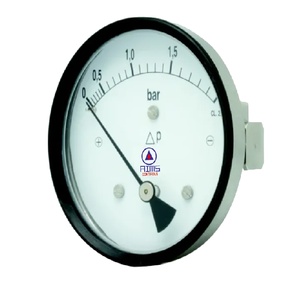 Differential Pressure Gauge (Piston)