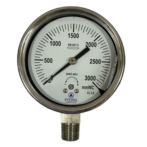 AIMS Control Economic Capsule Pressure Gauge
