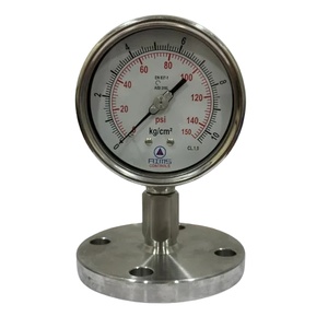 Pressure Gauge With Welded Diaphragm Seal (Flanged)