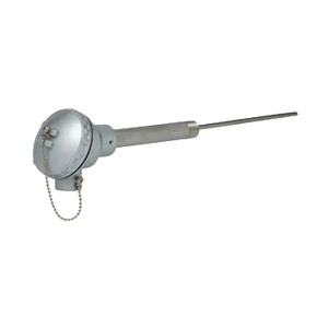 Rtd Assembly With Nipple