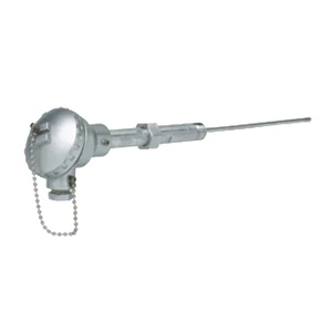 Thermocouple With Nipple Union Nipple