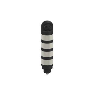TL50GYYRALSQ