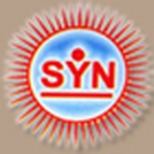Syndot Electricals Logo